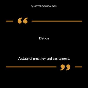 Elation A state of great joy and excitement.