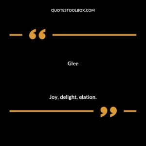 Glee Joy delight elation.