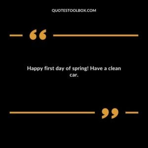 Happy first day of spring! Have a clean car.