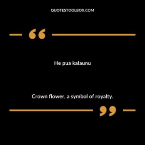 He pua kalaunu Crown flower a symbol of royalty.