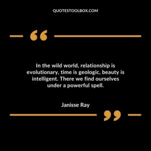 In the wild world relationship is evolutionary time is geologic beauty is intelligent. There we find ourselves under a powerful spell.