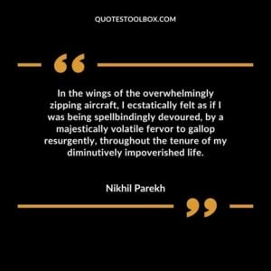 In the wings of the overwhelmingly zipping aircraft, I ecstatically felt as if I was being spellbindingly devoured, by a majestically volatile fervor to gallop resurgently, throughout the