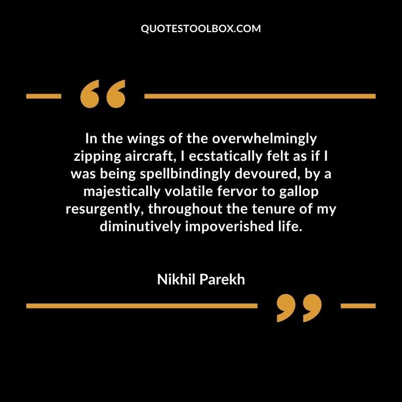 In the wings of the overwhelmingly zipping aircraft, I ecstatically felt as if I was being spellbindingly devoured, by a majestically volatile fervor to gallop resurgently, throughout the