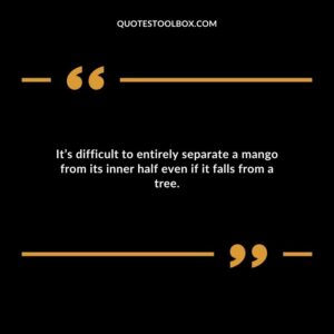 Its difficult to entirely separate a mango from its inner half even if it falls from a tree.
