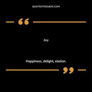 Joy Happiness delight elation.