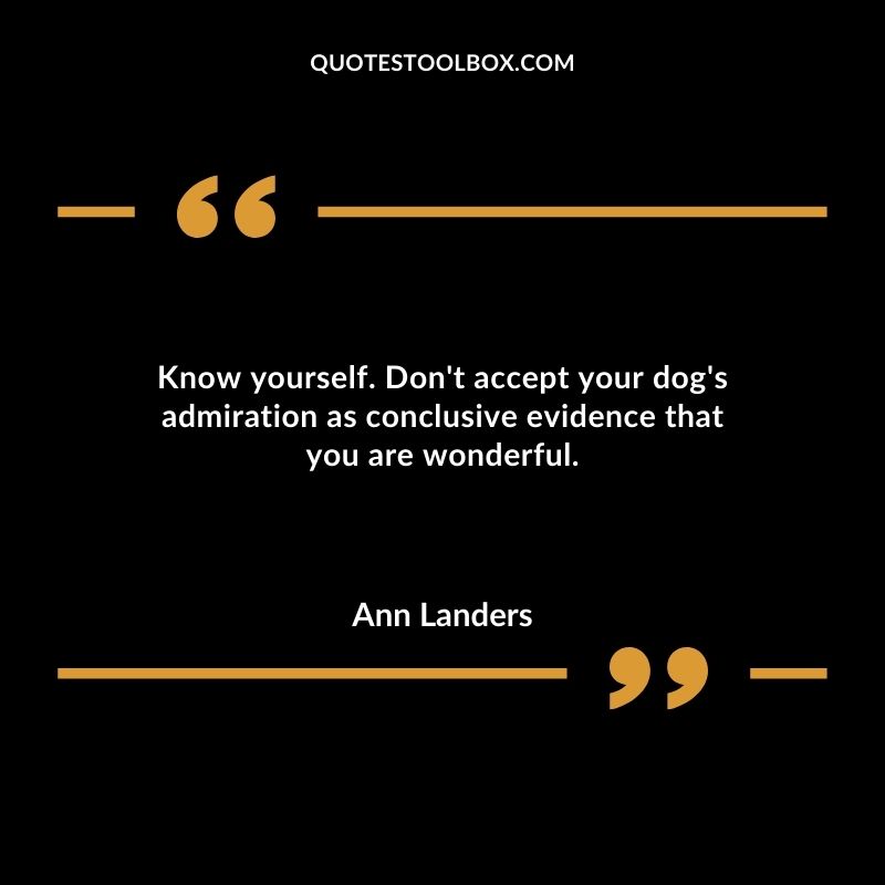 Know yourself. Dont accept your dogs admiration as conclusive evidence that you are wonderful.
