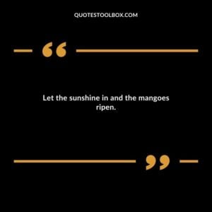 Let the sunshine in and the mangoes ripen.