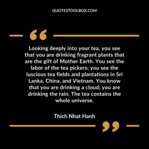Looking deeply into your tea, you see that you are drinking fragrant plants that are the gift of Mother Earth. You see the labor of the tea pickers you see the luscious tea fields and