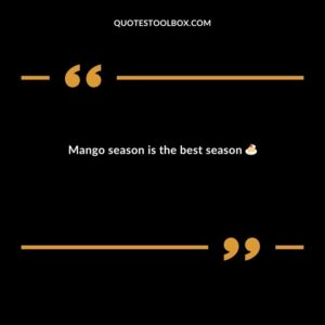 Mango season is the best season