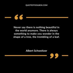 Never say there is nothing beautiful in the world anymore. There is always something to make you wonder in the shape of a tree the trembling of a leaf.
