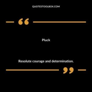 Pluck Resolute courage and determination.