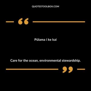 Pūlama i ke kai Care for the ocean, environmental stewardship.