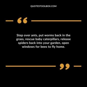 Step over ants put worms back in the grass rescue baby caterpillars release spiders back into your garden open windows for bees to fly home.