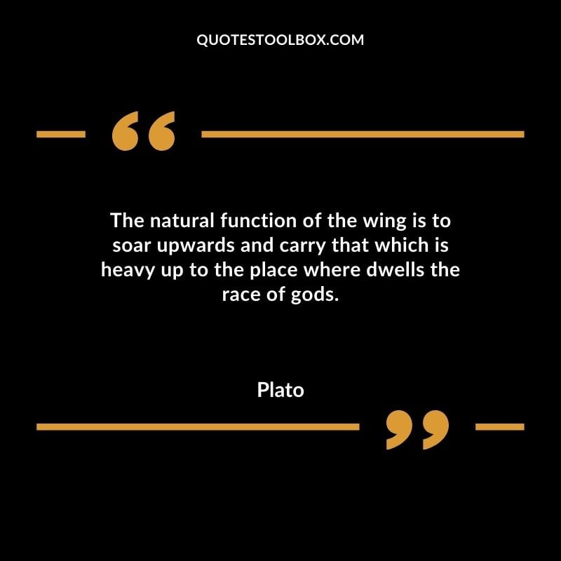 The natural function of the wing is to soar upwards and carry that which is heavy up to the place where dwells the race of gods.