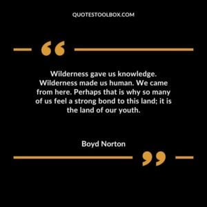Wilderness gave us knowledge. Wilderness made us human. We came from here. Perhaps that is why so many of us feel a strong bond to this land it is the land of our youth.