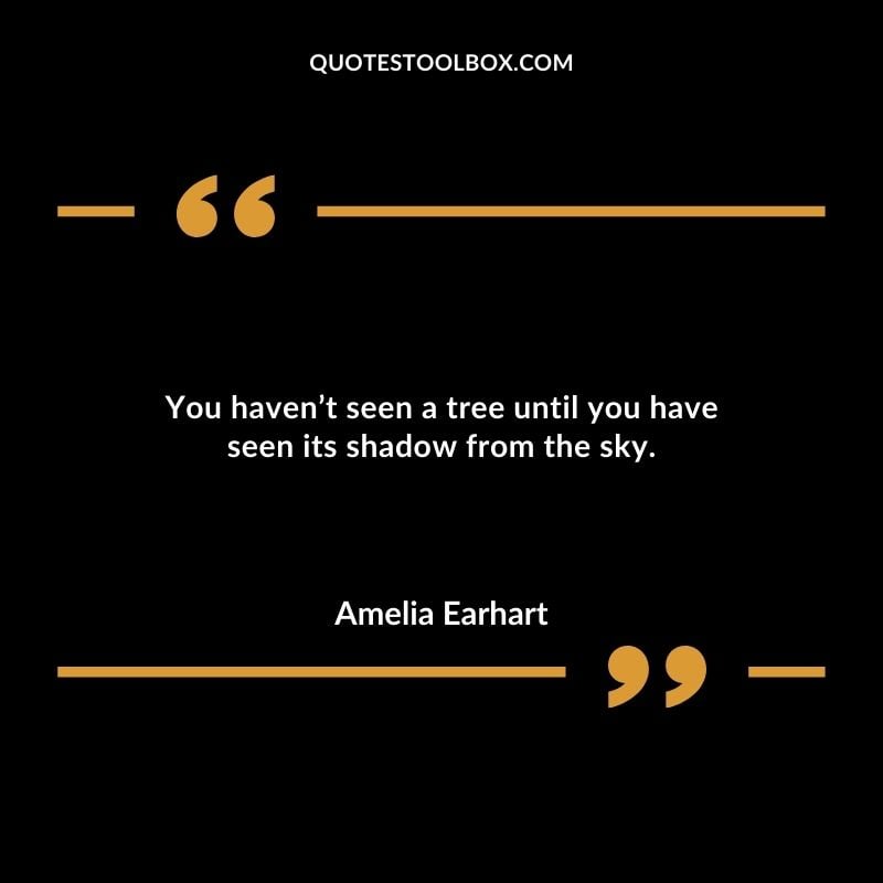 You havent seen a tree until you have seen its shadow from the sky.