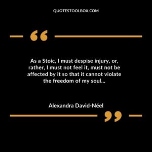 As a Stoic I must despise injury or rather I must not feel it must not be affected by it so that it cannot violate the freedom of my soul