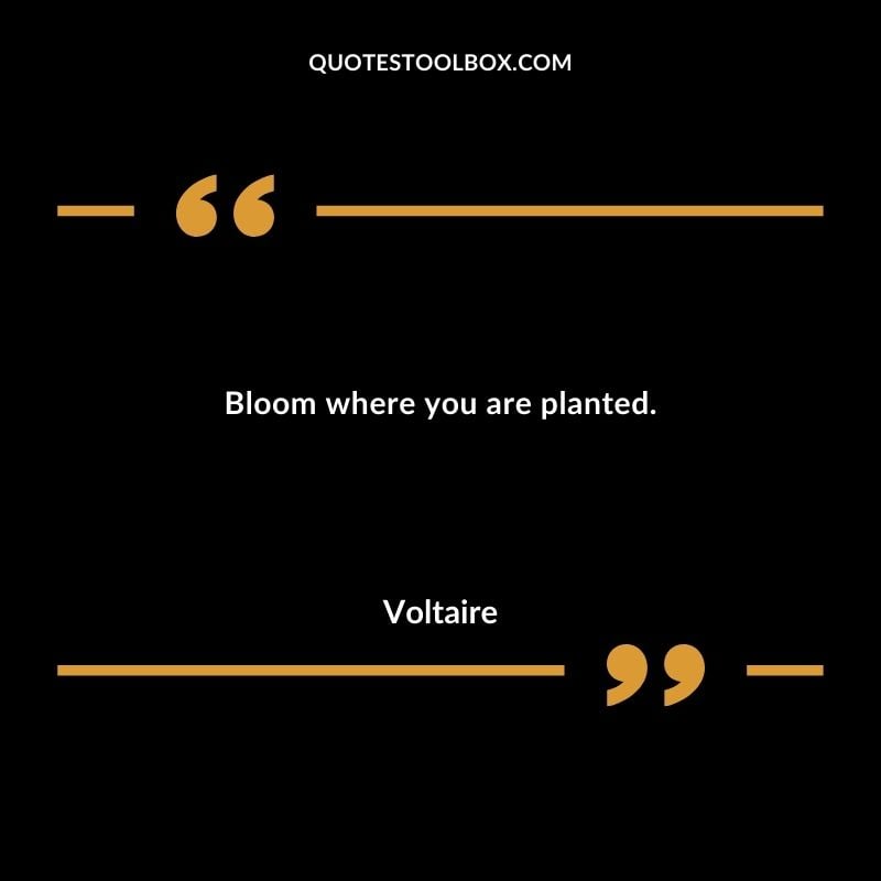 Bloom where you are planted.