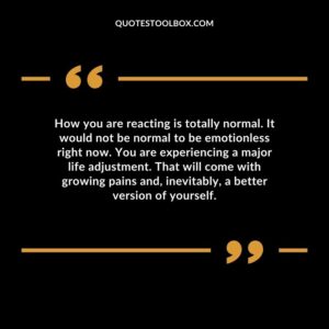 How you are reacting is totally normal. It would not be normal to be emotionless right now. You are experiencing a major life adjustment. That will come with growing pains and