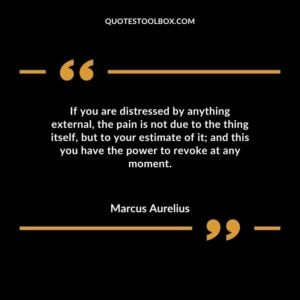If you are distressed by anything external the pain is not due to the thing itself but to your estimate of it and this you have the power to revoke at any moment.
