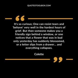 It's so curious One can resist tears and 'behave' very well in the hardest hours of grief. But then someone makes you a friendly sign behind a window, or one notices that a flower that