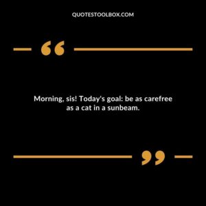 Morning sis! Todays goal be as carefree as a cat in a sunbeam.