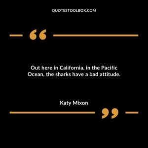 Out here in California in the Pacific Ocean the sharks have a bad attitude.