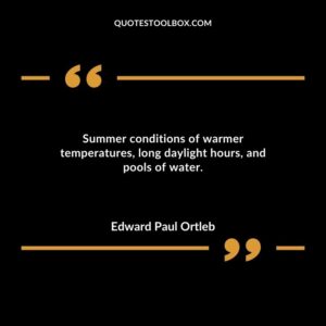Summer conditions of warmer temperatures long daylight hours and pools of water.