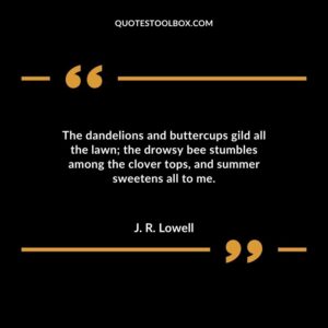 The dandelions and buttercups gild all the lawn the drowsy bee stumbles among the clover tops and summer sweetens all to me.