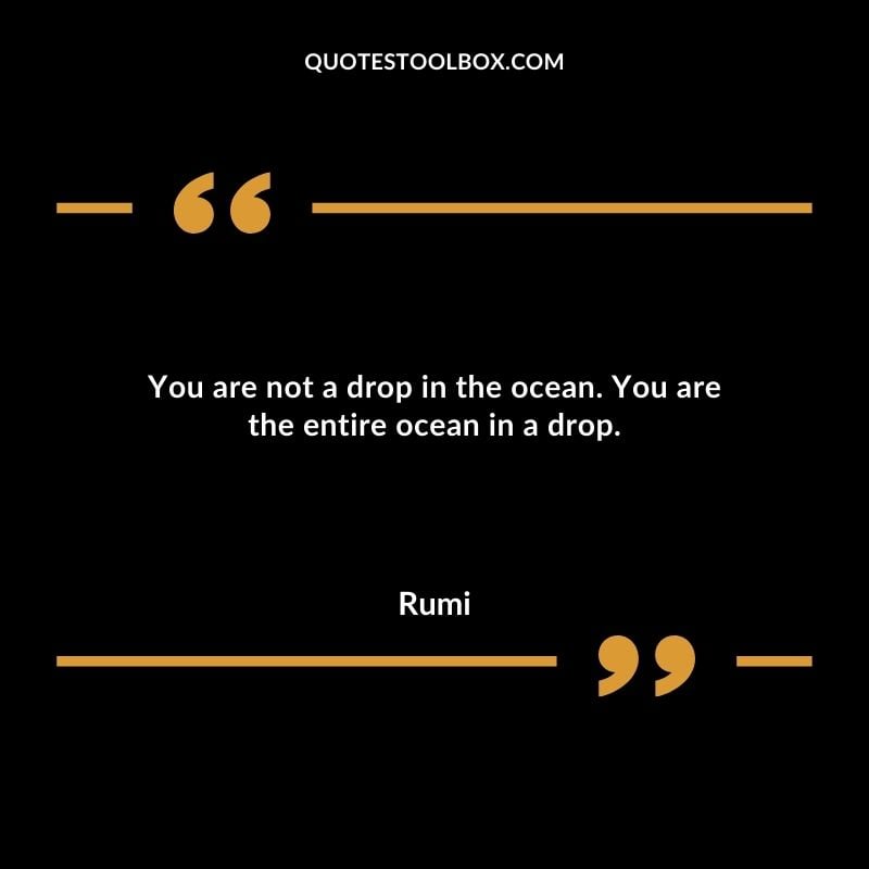 You are not a drop in the ocean. You are the entire ocean in a drop.