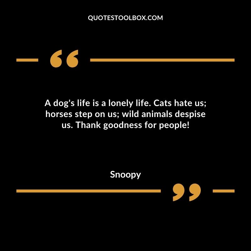 A dogs life is a lonely life. Cats hate us horses step on us wild animals despise us. Thank goodness for people!