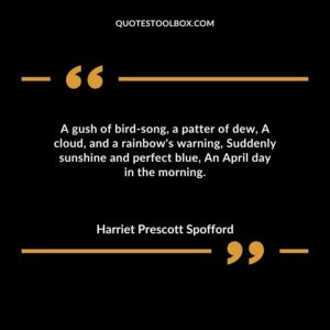 A gush of bird song a patter of dew A cloud and a rainbows warning Suddenly