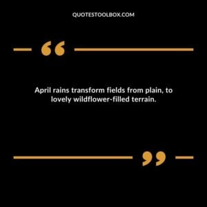 April rains transform fields from plain to lovely wildflower filled terrain.
