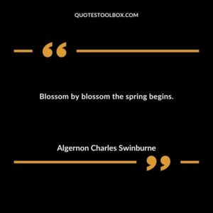 Blossom by blossom the spring begins.