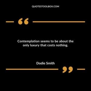 Contemplation seems to be about the only luxury that costs nothing.