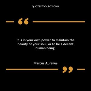 It is in your own power to maintain the beauty of your soul or to be a decent human being.