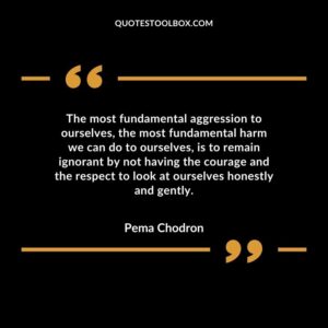 The most fundamental aggression to ourselves, the most fundamental harm we can do to ourselves, is to remain ignorant by not having the courage and the respect to look at ourselves honestly