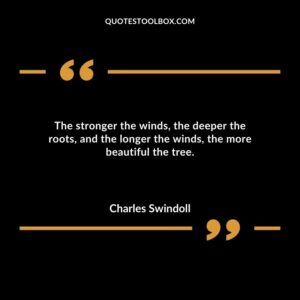 The stronger the winds the deeper the roots and the longer the winds the more beautiful the tree.
