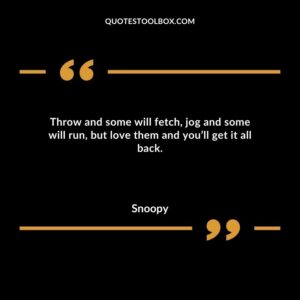 Throw and some will fetch jog and some will run but love them and youll get it all back.