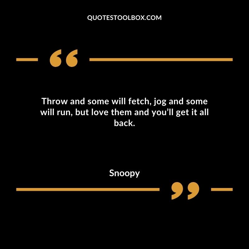 Throw and some will fetch jog and some will run but love them and youll get it all back.