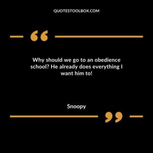 Why should we go to an obedience school He already does everything I want him to