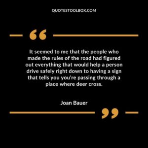 It seemed to me that the people who made the rules of the road had figured out everything that